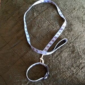 Medium Dog Collar with Leash